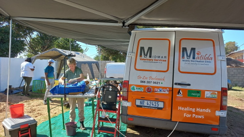 matilda news june 2022