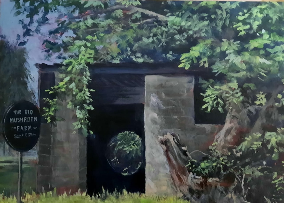 the old mushroom farm
