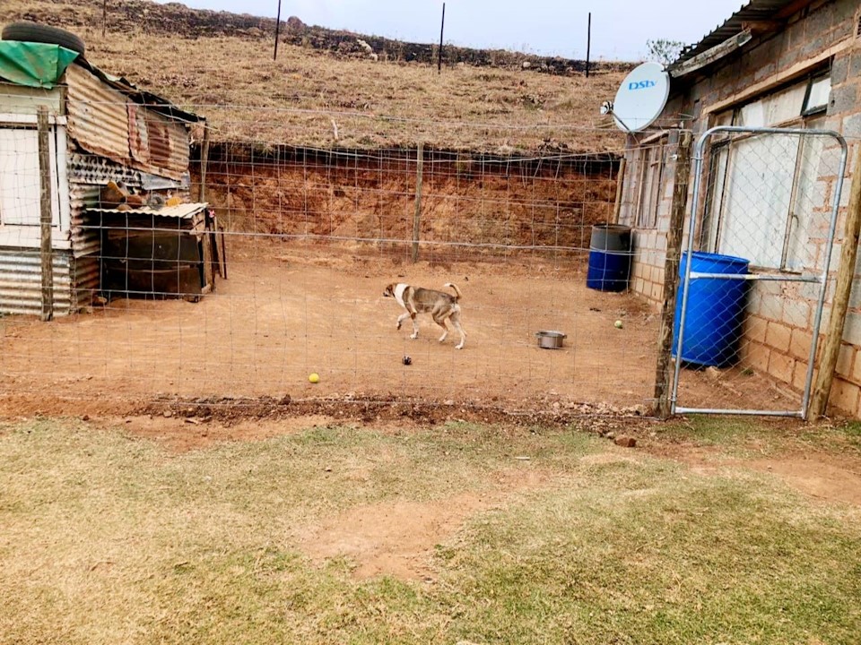 fencing pets with funda nenja