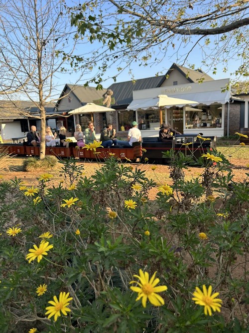 lions river mini train