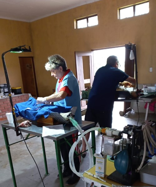 midmar vet clinic