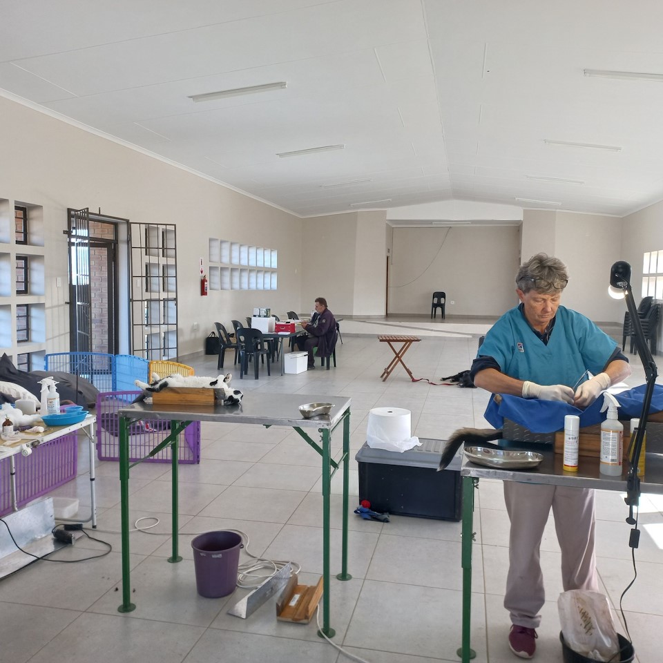 midmar vet lee pachonick