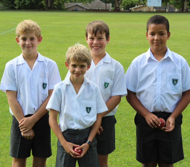Cricket Stars