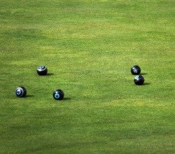 bowls