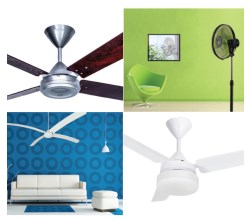 sol fans250x220
