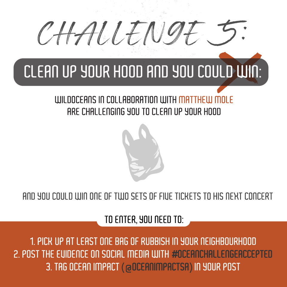 Challenge 5 Matthew Mole