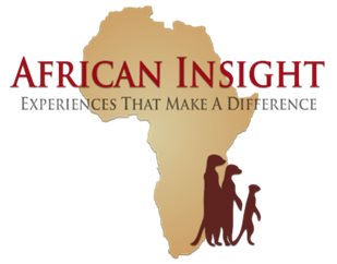 african insight cover