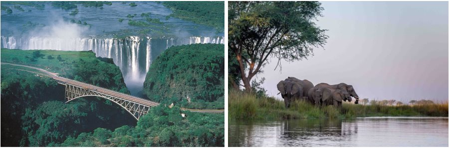 african insight specials vic falls hwange park