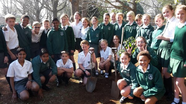 arbor week howick