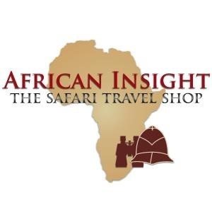 arican insight logo