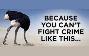bobbies ostrich newsy