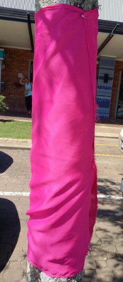 cansa tree 250