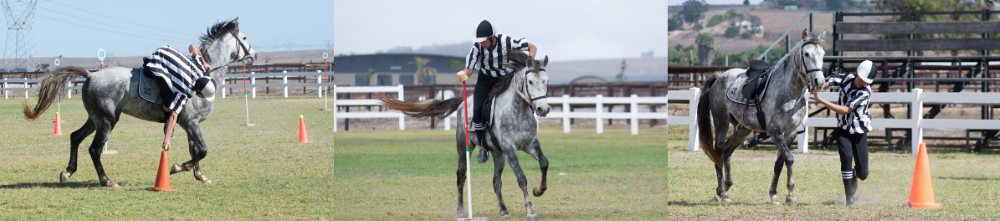 taro mounted games 1000
