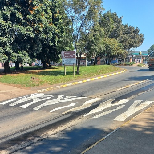 zebra crossing 2023