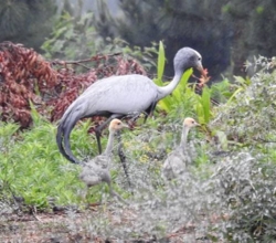 karkloof conservancy