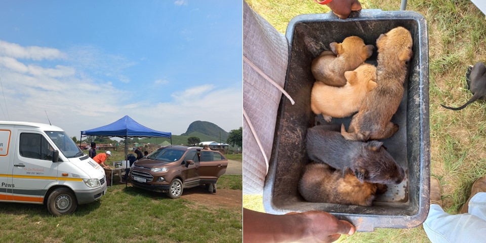 karkloof rabies drive footer