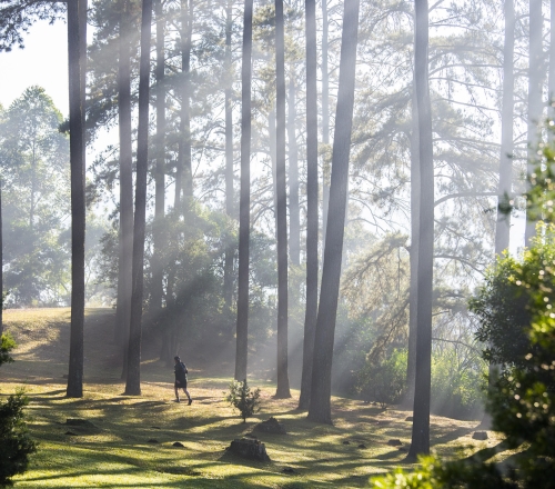 karkloof trail