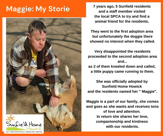 maggie sunfield