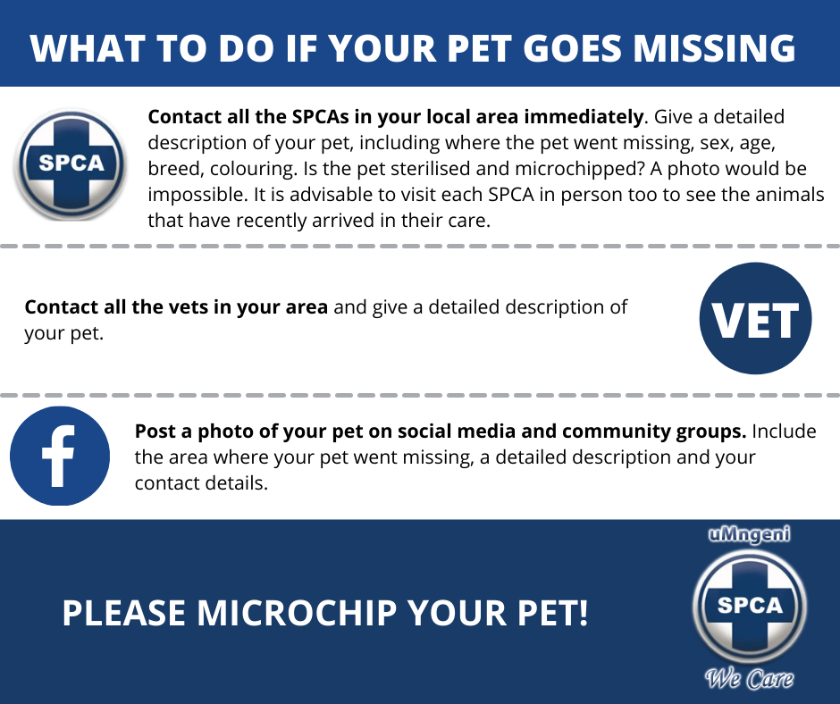 missing pet