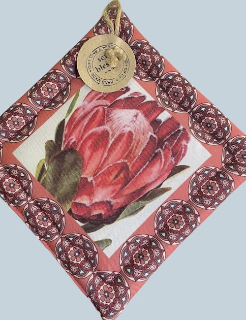 mushka potholders 2023