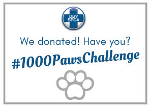 spca
