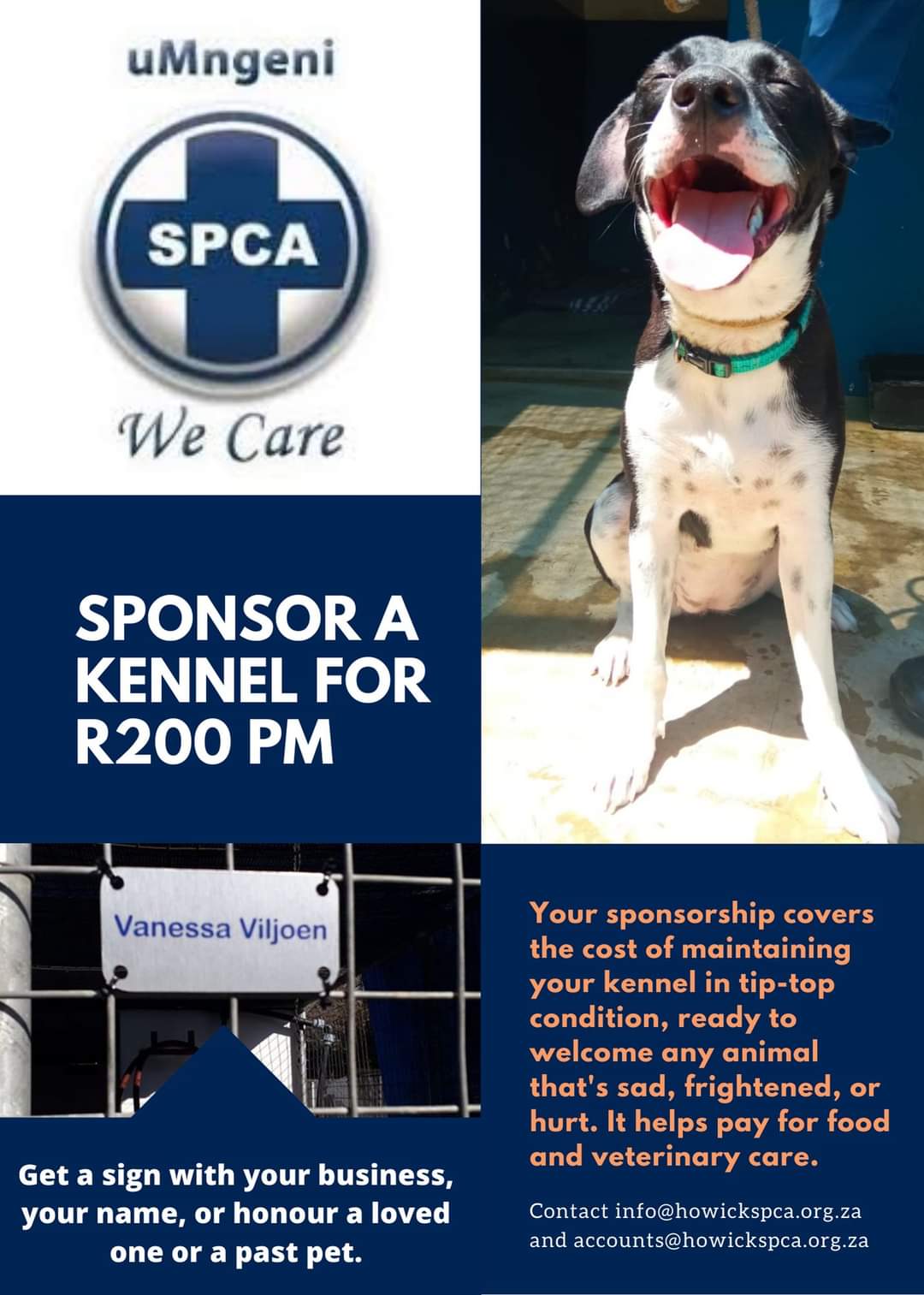 sponsor a kennel