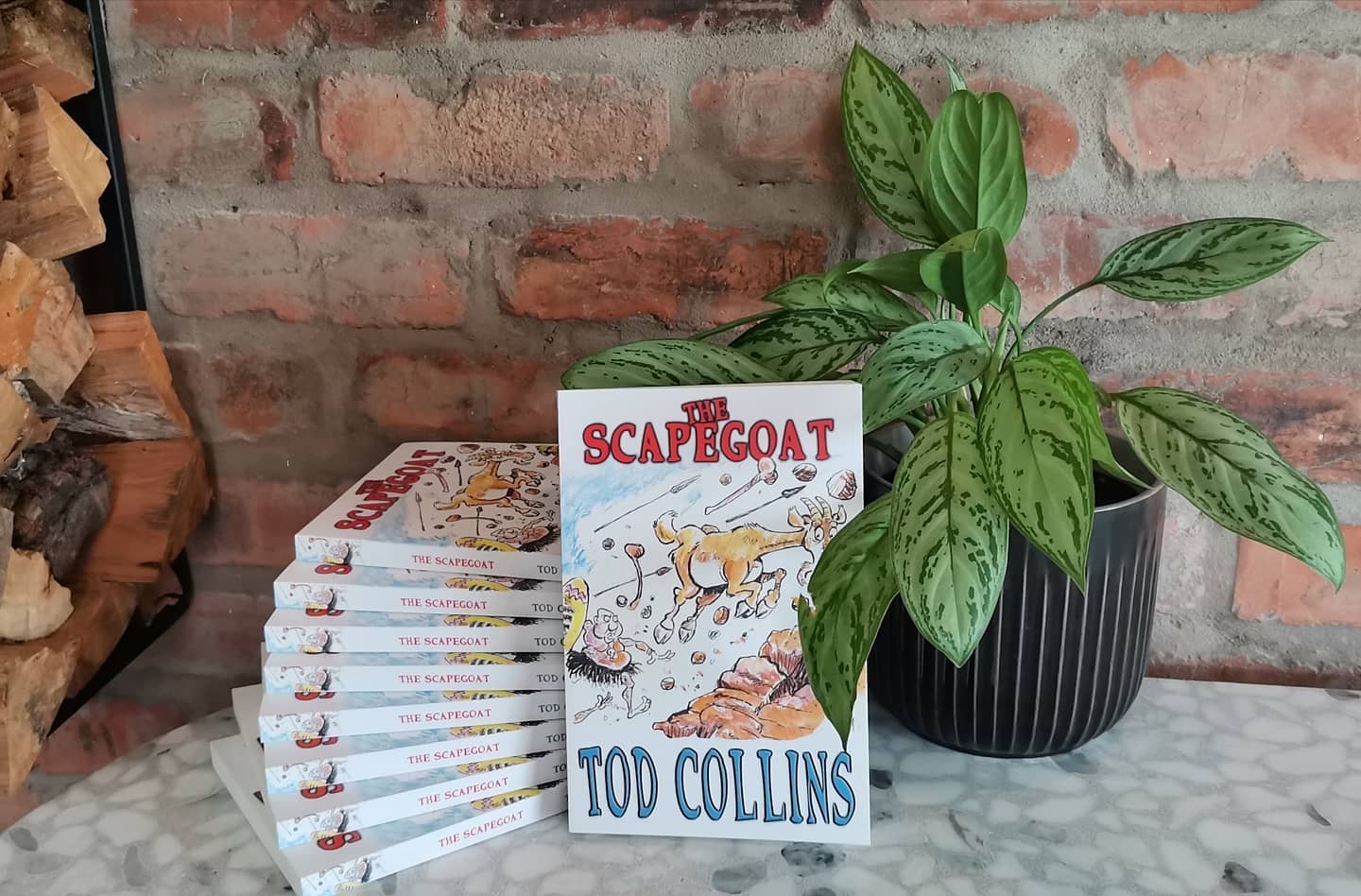 tod collins the scapegoat