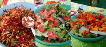 vetkoeksalad copy