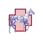 BSET Equine Academy